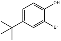 2-Bromo-4-tert-butylphenol(CAS#2198-66-5)