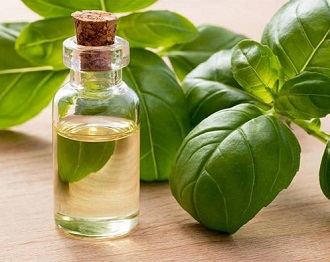 Basil oil(CAS#8015-73-4)